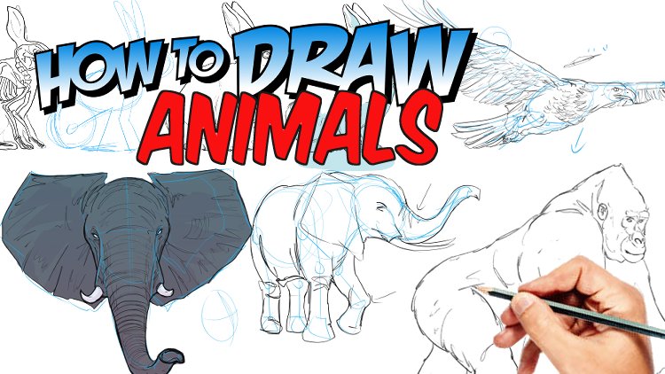 How to draw Zoo Animals and Words: Easy & Fun Drawing and first