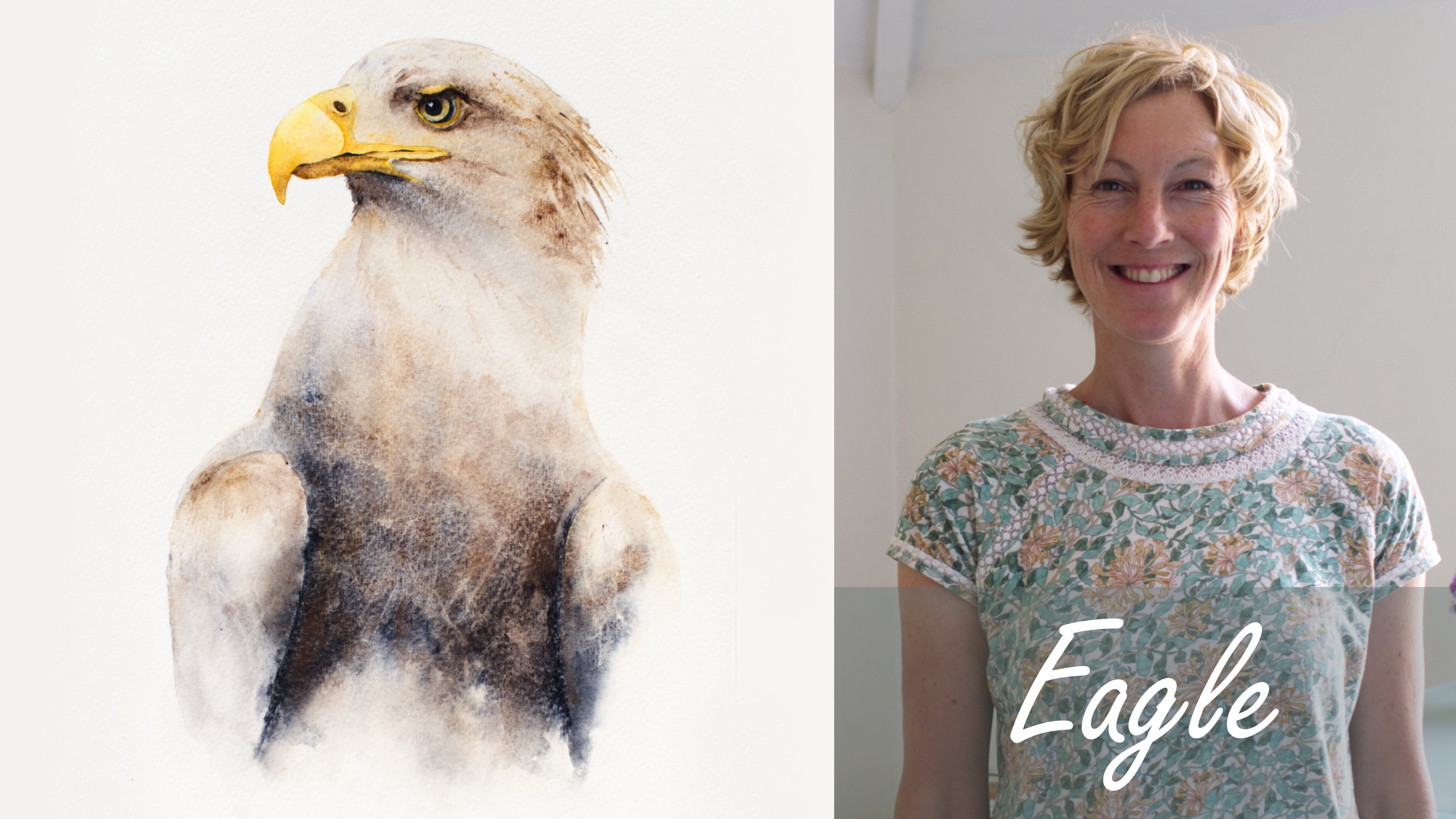 Three Feathers. An Easy All-Level Watercolour Class with Jane Davies, Jane  Davies