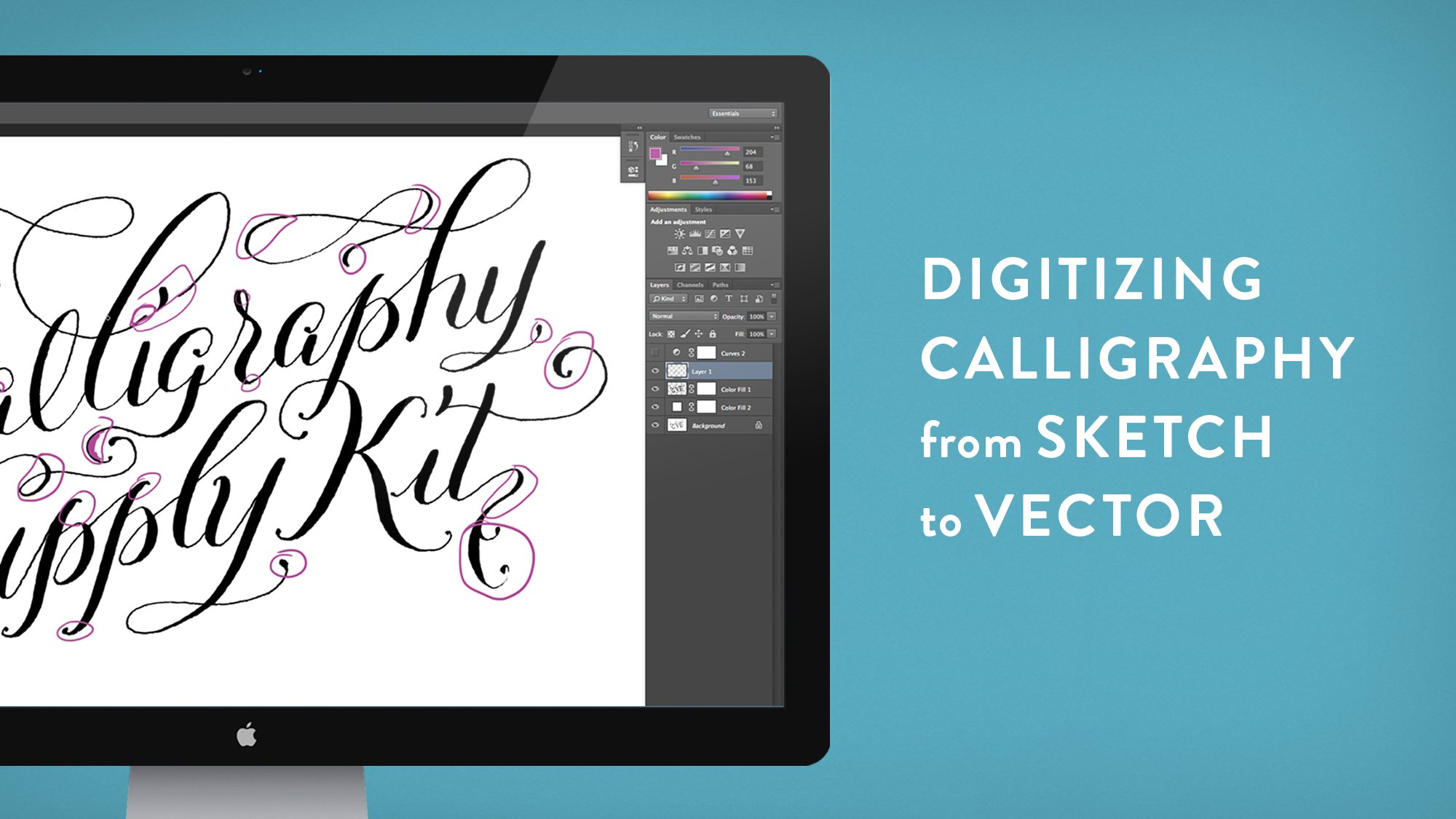 Digitizing Calligraphy From Sketch To Vector Molly Suber Thorpe Skillshare