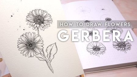 Botanical Line Work : How To Draw Gerberas