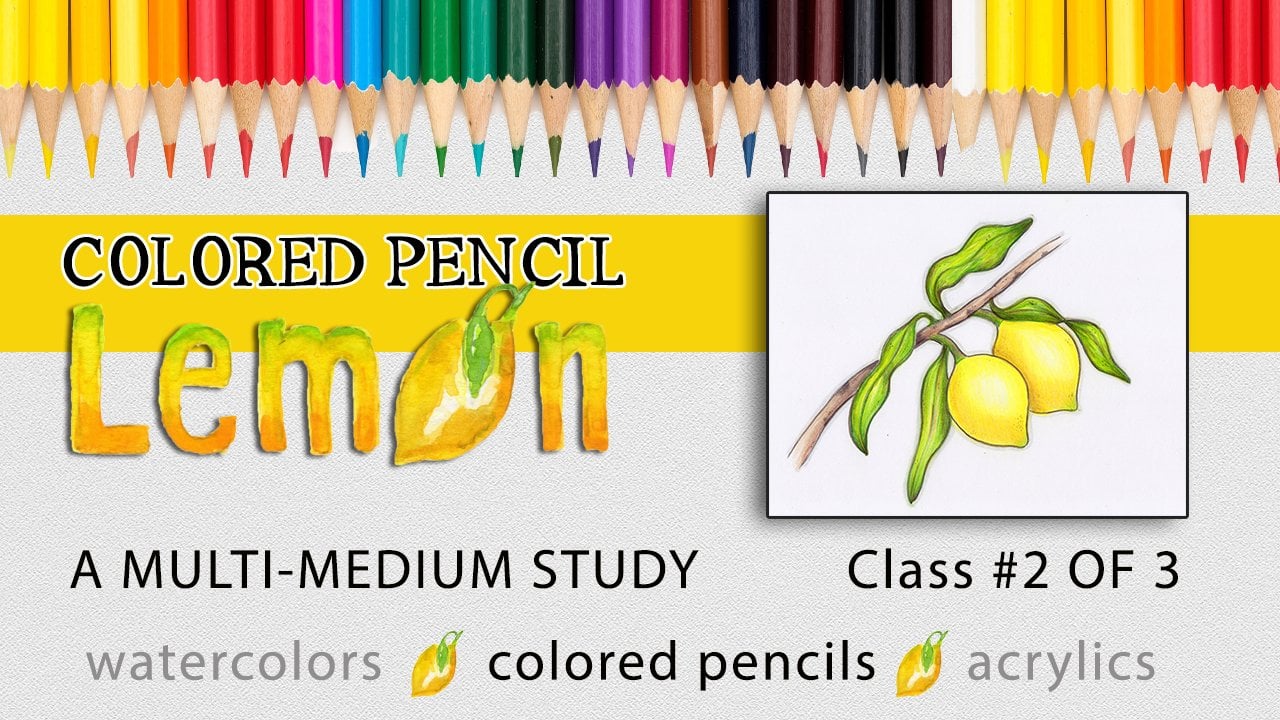 PASSION PETALS Professional Color Pencil Set Colour