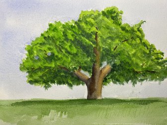 Realistic Trees and Foliage in Watercolor by Vasu Sahu