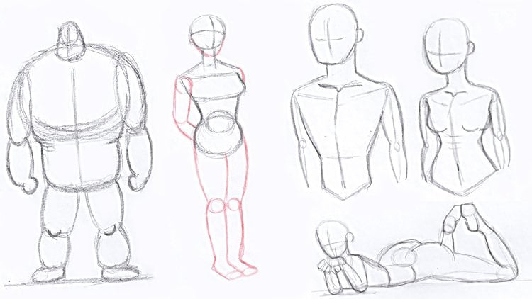 human female body drawing