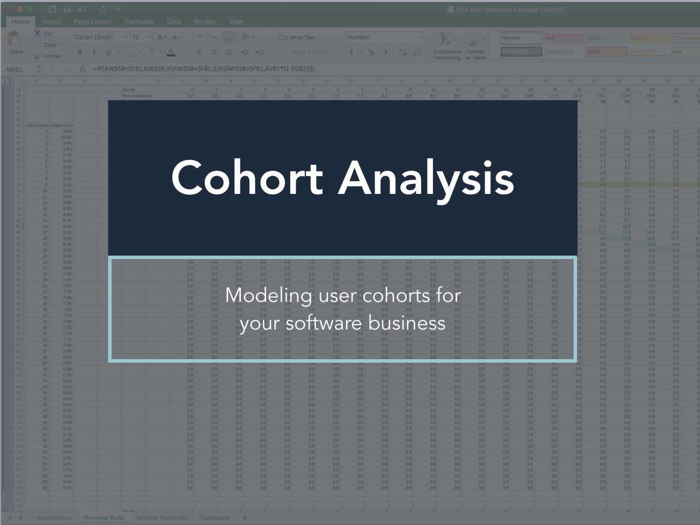 Financial Modeling for Subscription Software: Cohort Analysis 