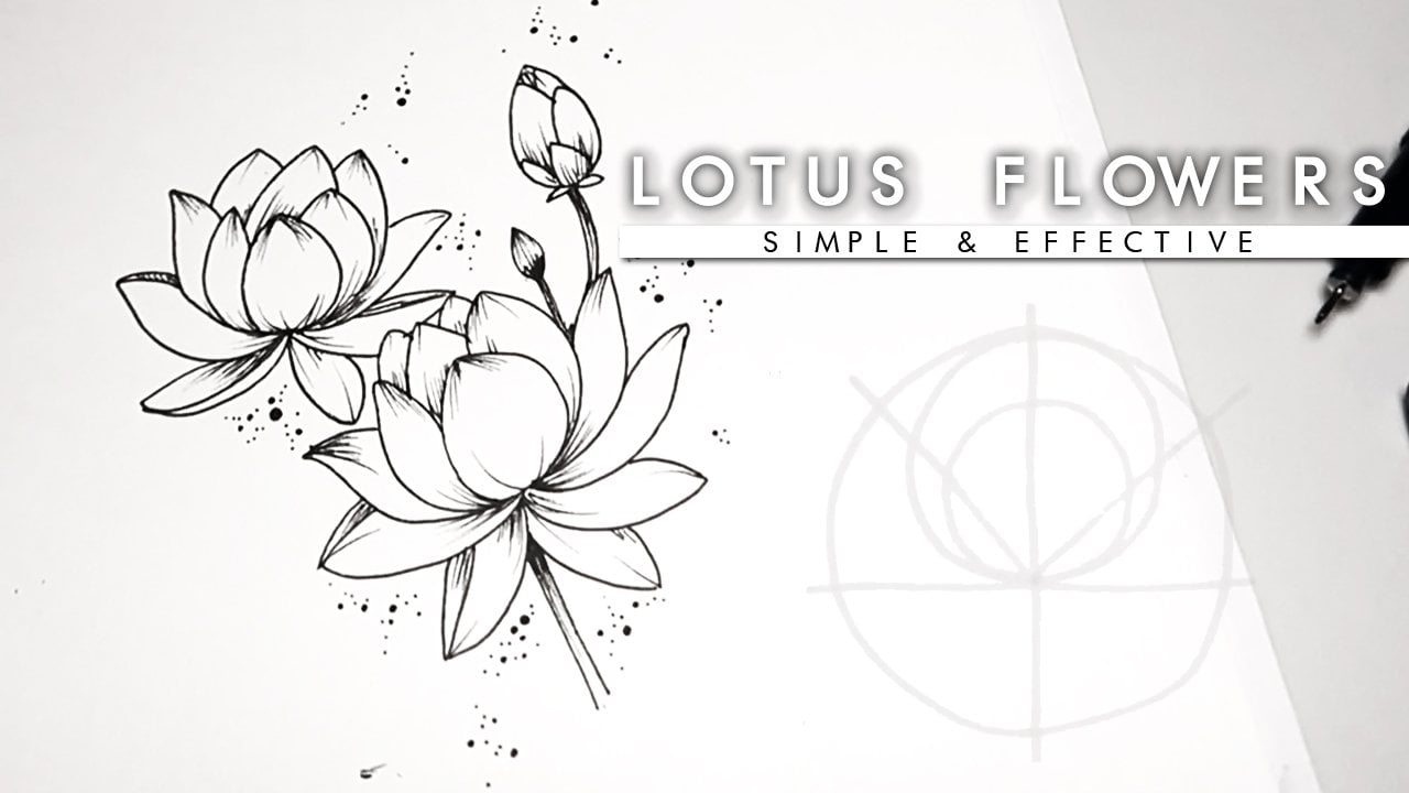 lotus flower drawing black and white