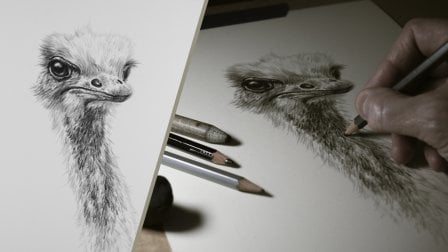 Drawing Basics:  Your Creative Journey Starts Here