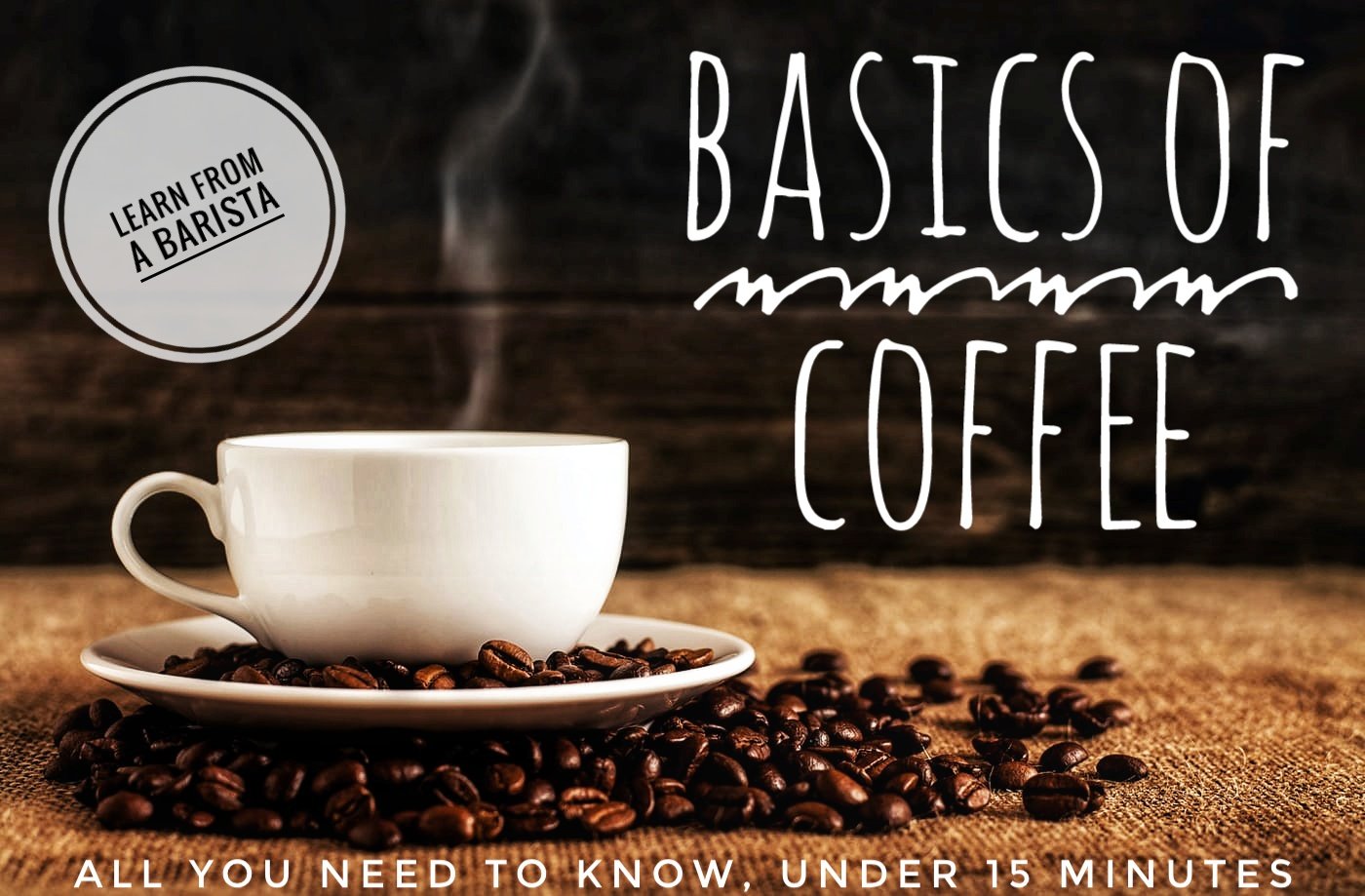 Know What You Drink Basics Of Coffee DIVYAANSH SETHIA Skillshare