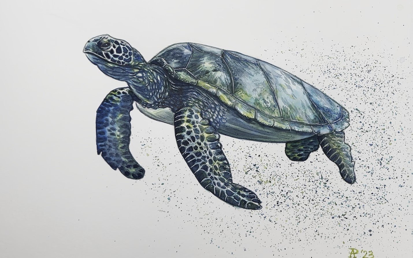 Como dibujar y pintar una tortugas marinas con pintura acrílica paso a paso  – art4kids