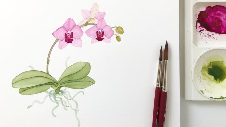 Watercolor dried plants,seed pods.  Dry plants, Watercolor flowers,  Watercolor