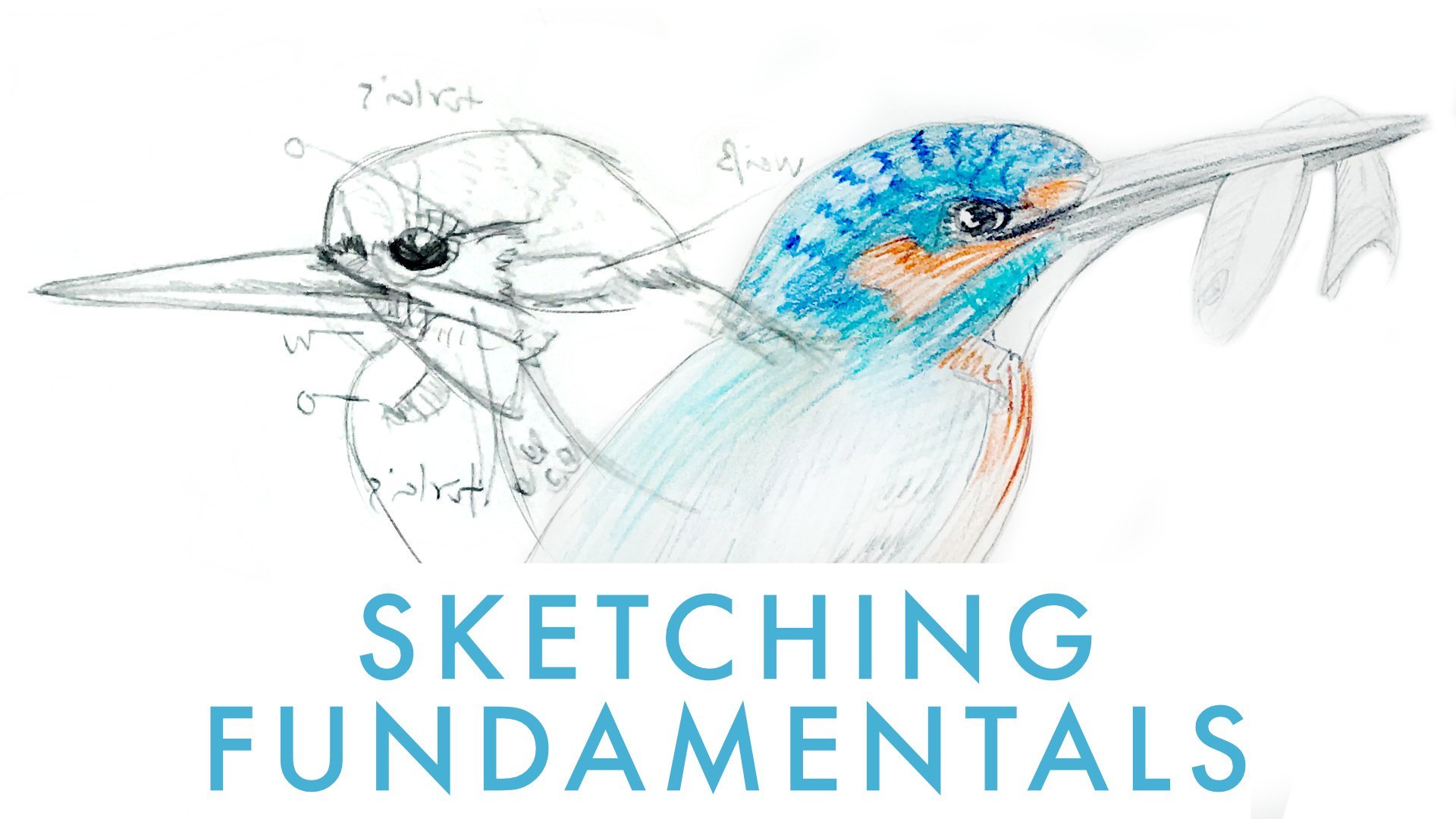 Como fazer desenho fofo e fácil? 5 Dicas para desenhistas iniciantes.