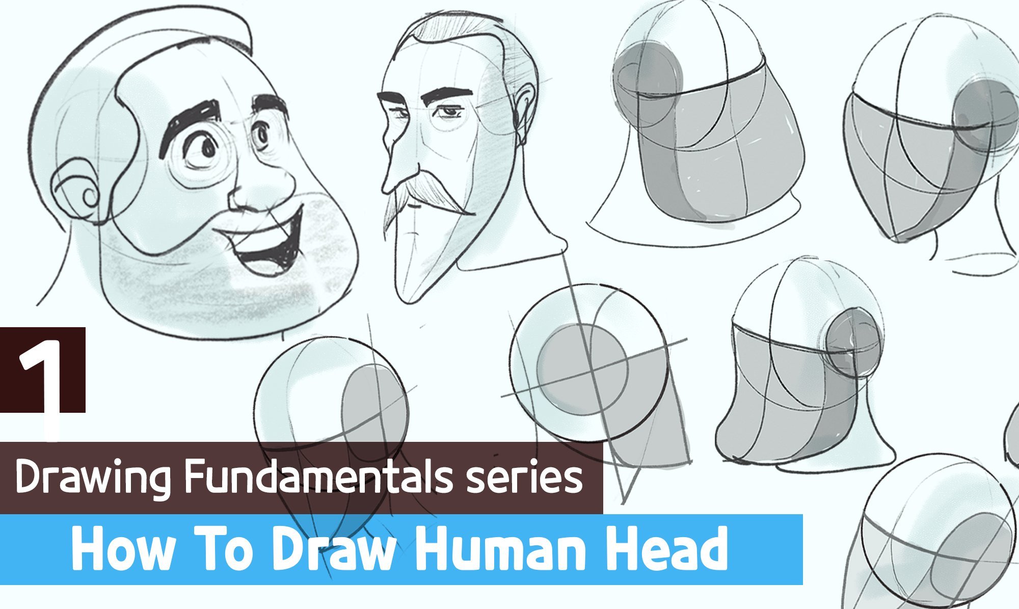 Drawing the Human Head