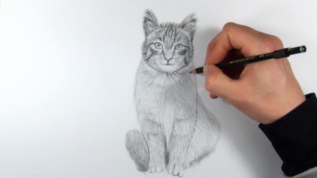Cours du projet