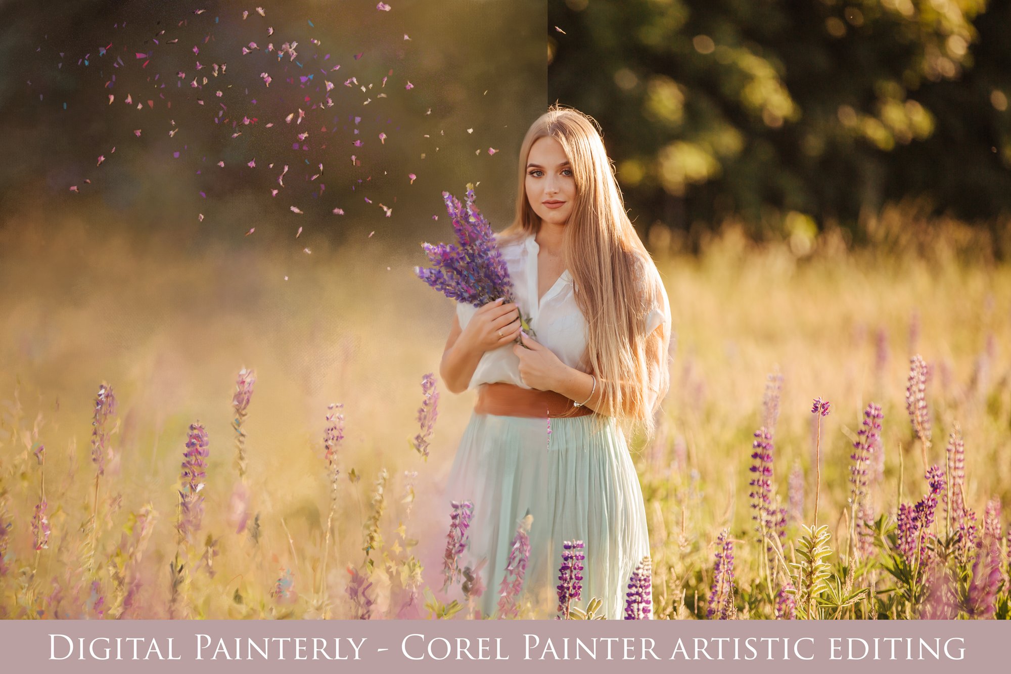 Corel Painter   editing photographs into painterly artwork