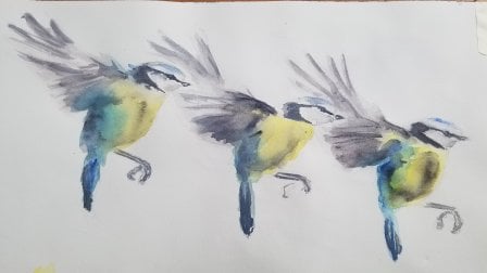 Projekt-Kurs