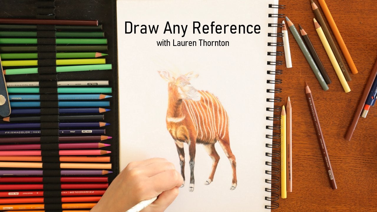 ✏️ Drawing Pencils Explained + a Tracing Hack for Symmetrical Drawings! 