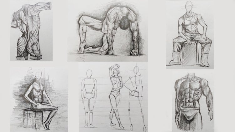 Basic Anatomy & Figure Drawing